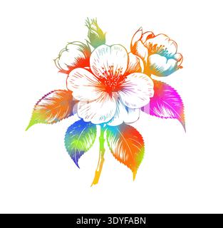 Branches de cerise avec des fleurs, sakura coloré isolent sur fond blanc. Dessiné à la main. Pas ai, illustration vectorielle. Illustration de Vecteur