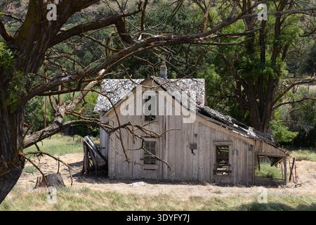Une maison abandonnée se trouve au milieu de l'herbe sèche dans une zone agricole rurale. La maison a des fenêtres cassées et de lourds dégâts. Banque D'Images