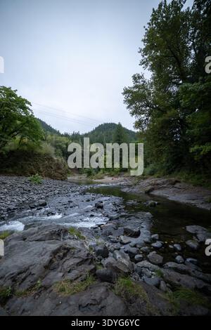 De l'eau se précipite sur des pierres sombres et humides. Des arbres verts encadrent un ruisseau forestier tranquille. Le ciel couvert ajoute une atmosphère douce et d'humeur changeante. Sons naturels écho thro Banque D'Images