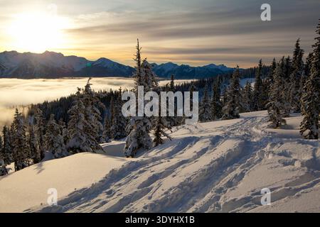 Vue sur la montagne olympique près du centre d'accueil Hurricane Ridge, parc national olympique en hiver. Banque D'Images