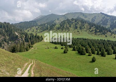Des prairies alpines verdoyantes et de denses forêts à feuilles persistantes qui tapissent les contreforts vallonnés des montagnes TRANS-Ili Alatau près d'Almaty, au Kazakhstan Banque D'Images
