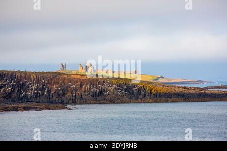 Château de Dunstanburgh, Northumberland. fortification du xive siècle, aujourd'hui en ruines. Les oiseaux de mer nichent sur les falaises en contrebas du château, et certaines parties de la région le sont Banque D'Images