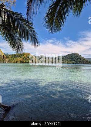 De douces vagues se battent contre le rivage à Ko Kut, un paradis serein à Trat, en Thaïlande. Une végétation tropicale luxuriante encadre les eaux cristallines, invitant à la détente et à l'aventure sous un ciel bleu vibrant. Banque D'Images