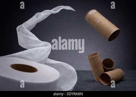 Démêler le rouleau de papier toilette et les noyaux de carton vides Banque D'Images