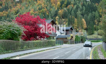 Route de campagne passant par un village avec des maisons traditionnelles et des arbres d'automne vibrants, avec un feuillage coloré et un cadre rural paisible. Banque D'Images