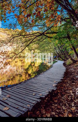 Vue sur un sentier en bois serpentant à travers une forêt avec un feuillage d'automne vibrant et des reflets tranquilles du lac, Plitvička Jezera, comté de Lika-Senj, croate Banque D'Images