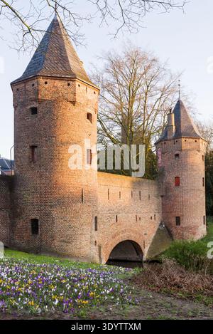 La porte de Monnikendam à Amersfoort dans la lumière du soleil du matin avec le champ de crocus de printemps en face Banque D'Images