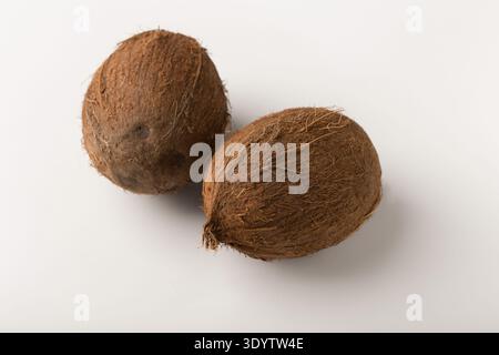 Deux cocotiers isolé sur fond blanc Banque D'Images