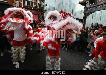 Wardour Street, Londres, Royaume-Uni. 21 février 2026. Sur la photo : des dragons chinois se produisent devant la foule dans Waredour Street. / Célébrations du nouvel an chinois k Banque D'Images