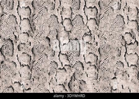 Surface texturée détaillée avec un motif complexe en noir et blanc, créant une composition visuellement intéressante et complexe avec des tons variés Banque D'Images