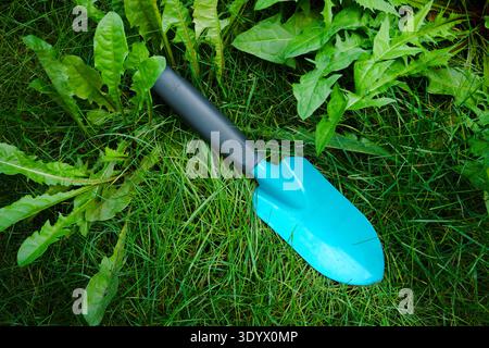 Pelle de jardin bleue sur l'herbe verte avec des mauvaises herbes et de petites fleurs sauvages dans le jardin Banque D'Images