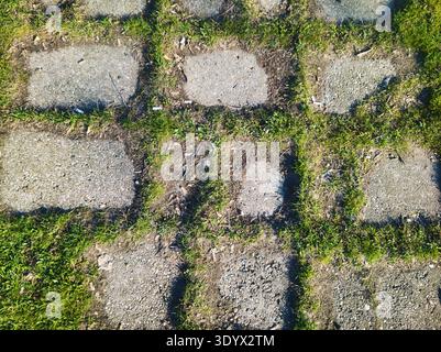 Plan détaillé et en grand angle d'un chemin extérieur présentant un motif géométrique de pavés carrés en pierre sertis dans de l'herbe verte. L'image capture une image nette, Banque D'Images
