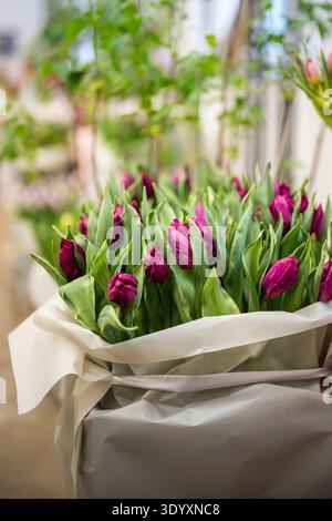 Bouquet de tulipes violettes fraîches avec des feuilles vertes luxuriantes enveloppées dans du papier au magasin floral, soft focus. Banque D'Images