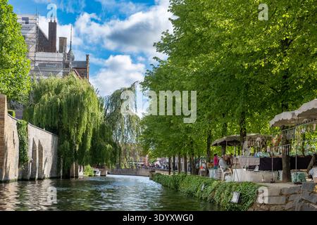 Canal de Bruges avec des bâtiments flamands médiévaux et des saules sur Dijver, Bruges, Belgique Banque D'Images