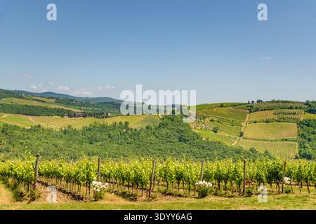 Les vignobles du Chianti s'étendent sur les collines toscanes ondulantes sous un ciel bleu clair Banque D'Images