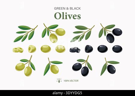 Ensemble de vecteur d'olives vertes et noires. Collection branches d'olivier, olives entières et tranches. Ingrédients alimentaires méditerranéens pour la cuisine, l'emballage, le menu Illustration de Vecteur