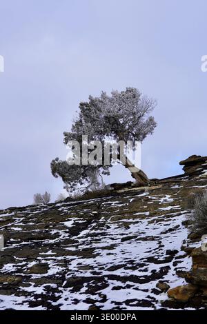 Scènes d'une randonnée jusqu'à la Menan Butte montrant le terrain en hiver Banque D'Images
