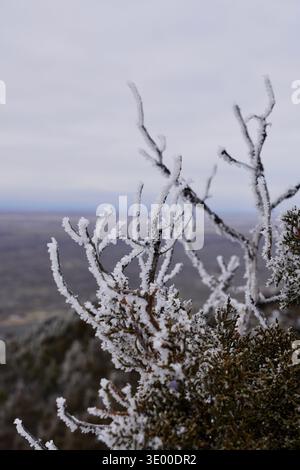 Scènes d'une randonnée jusqu'à la Menan Butte montrant le terrain en hiver Banque D'Images