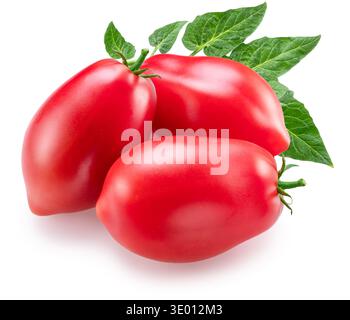 Tomates Roma rouges mûres avec des feuilles vertes isolées sur fond blanc. Le fichier contient un chemin de détourage. Banque D'Images