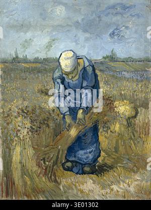 Cette peinture à l'huile de 1889 de Vincent van Gogh, intitulée "Peasant Woman Binding Sheaves (After Millet)", représente une figure solitaire travaillant diligemment dans un champ doré sous un ciel turbulent. L'œuvre se caractérise par le pinceau expressif de Van Gogh et sa profonde fascination pour la vie des paysans, un thème commun également exploré par Jean-François Millet. Banque D'Images