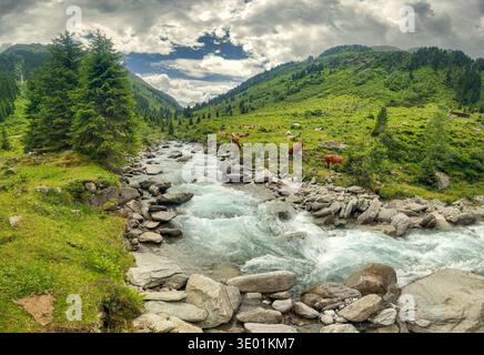 Vue par drone d'une rivière qui coule dans une vallée verdoyante à Königsleiten Autriche avec des vaches qui paissent sur la colline dans la région du Tyrol par une journée nuageuse. Th Banque D'Images