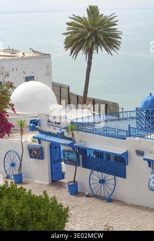 17 mai 2024. Sidi Bou Said, Tunisie. Café des Delices ou Café Sidi Chabaane, le plus célèbre café de Sidi Bou Said, l'un des meilleurs endroits pour boire un verre Banque D'Images