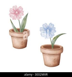Ensemble d'illustrations aquarelles de marguerites roses et bleues avec des tiges vertes et des feuilles dans un pot d'argile en terre cuite. Fleurs isolées sur fond blanc. Pour cartes de vœux, jardinage, magasins, emballage Banque D'Images