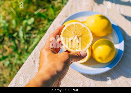 Gros plan de la main tenant la moitié de citron sur la nappe de dentelle avec des citrons dans le bol à l'extérieur Banque D'Images