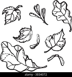 Feuilles et graines des arbres Illustration de Vecteur