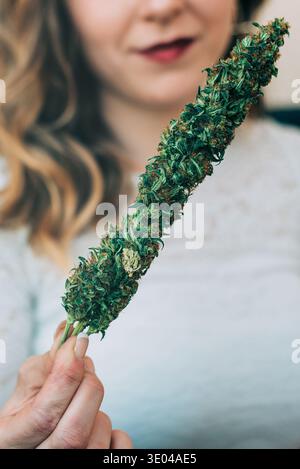 Une image en gros plan d'une femme tenant une plante de cannabis, mettant en valeur ses bourgeons verts luxuriants. L'arrière-plan est légèrement flou, mettant en évidence la texture et le d. Banque D'Images