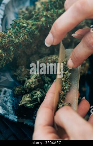 Une femme avec des ongles manucurés est vue préparer habilement un joint de marijuana. L'image capture ses mains manipulant délicatement des bourgeons de cannabis et Rollin Banque D'Images
