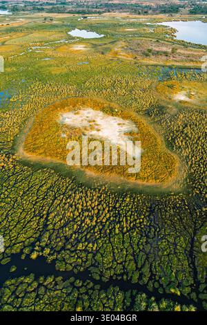 Une vue aérienne à couper le souffle capture les zones humides luxuriantes du delta de l'Okavango au Botswana, en Afrique, mettant en valeur les voies navigables complexes et la végétation vibrante Banque D'Images