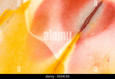 Photographie macro d'une dalle de jaspe mookaïte poli d'Australie occidentale. Formé environ 125 millions d'années il y a, en partie, de la fossilisation de Banque D'Images