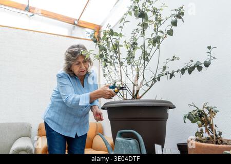 Femme âgée profitant de son passe-temps de jardinage, taillant méticuleusement une plante dans une serre confortable Banque D'Images