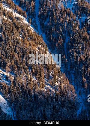 Ravin aérien d'hiver et conifères enneigés dans les Dolomites, Italie Banque D'Images