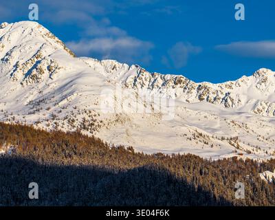 Sommets enneigés des Dolomites et forêt de conifères au coucher du soleil en hiver Banque D'Images