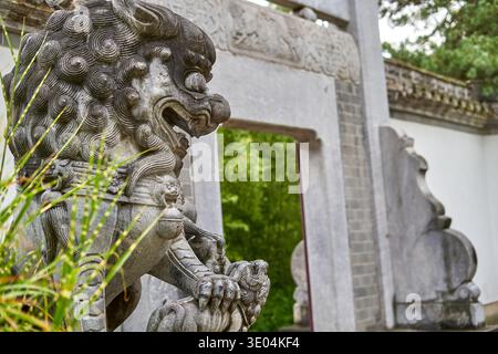 Vue rapprochée d'une statue traditionnelle chinoise de lion gardien (Shi) sculptée dans la pierre grise, positionnée devant une arche en pierre ornée. Le... Banque D'Images