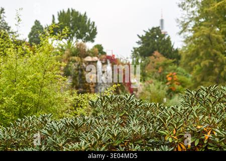 Une photographie de paysage luxuriant et verdoyant capturant une scène de jardin botanique sereine à Francfort, en Allemagne. Le premier plan présente un vert dense et éclatant... Banque D'Images