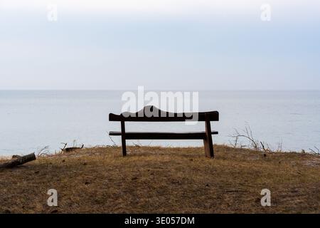 Banc en bois vide avec dossier incurvé debout seul sur le bord de falaise surplombant la vaste mer brumeuse sous ciel pâle. Banque D'Images