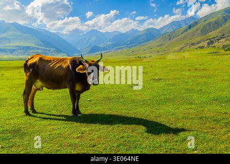Une vache calme se tient dans un vaste champ vert sous un ciel bleu vif. Les moutons lointains paissent paisiblement, mettant en valeur le paysage rural serein. Banque D'Images