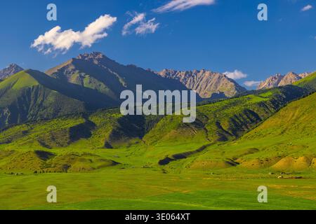 Une chaîne de montagnes majestueuse et des collines ondulantes créent un paysage serein. De vastes champs verts s'étendent sous un ciel bleu clair avec des nuages éparpillés. Banque D'Images