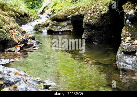 Scène d'écoulement d'eau en aval d'une cascade, reflets sur l'eau et rochers autour. Banque D'Images