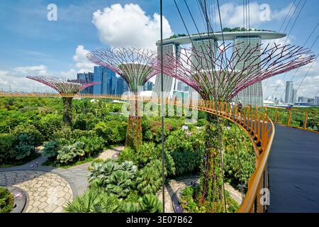 Les visiteurs marchent sur un pont reliant le Supertree Grove dans Gardens by the Bay avec des bâtiments modernes visibles en arrière-plan. Banque D'Images