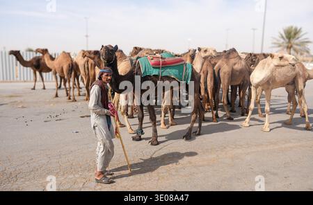 Au grand marché de chameaux de Buraida / Buraydah, Arabie Saoudite Banque D'Images