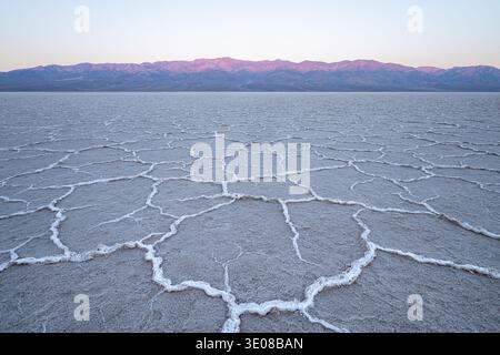 Gros plan de polygones hexagonaux de sel sur les salines, Badwater Basin, Death Valley National Park, Californie, États-Unis Banque D'Images