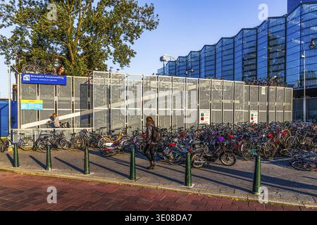 Parking vélo à Rotterdam, Rotterdam, pays-Bas Banque D'Images