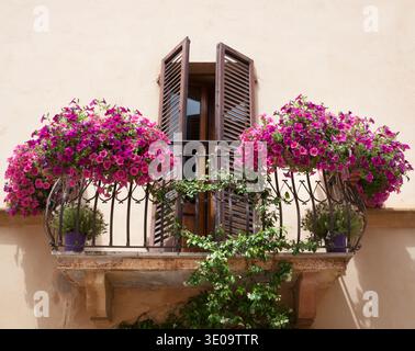 Fleurs sur un balcon à Pienza Toscane, Italie. Banque D'Images