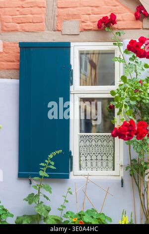 Fenêtre avec des roses sur une maison dans la cour du monastère, Johanniskloster, vieille ville, Stralsund, Mecklenburg-Poméranie occidentale, Allemagne, Europe Banque D'Images