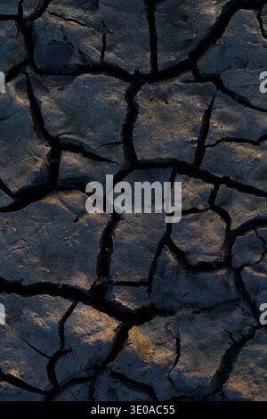 Fissures sèches dans la terre, marais salants près de Westerhever, lumière du soir, péninsule d'Eiderstedt, parc national de la mer des Wadden du Schleswig-Holstein, Allemagne, Sch Banque D'Images