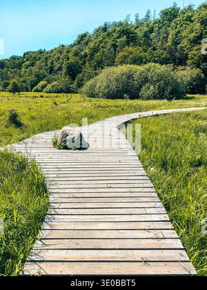 Sentier de randonnée à Ekkodalen sur Bornholm, Aakirkeby, Ekkodalen, Bornholm, région capitale, Hovedstaden Region, paysage, Danemark, Scandinavie Banque D'Images